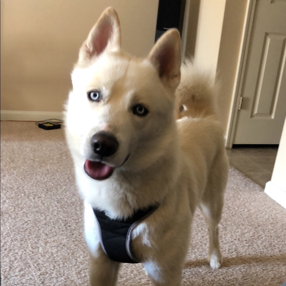 Meet your Posher, Mitch